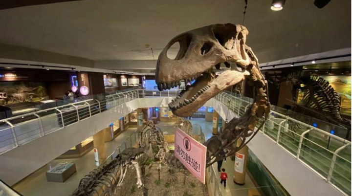 Paleozoological Museum