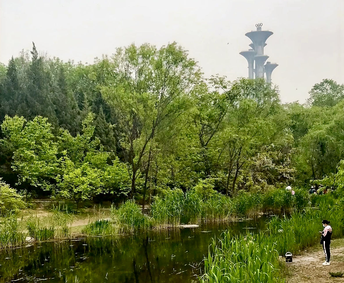 Olympic Forest Park
